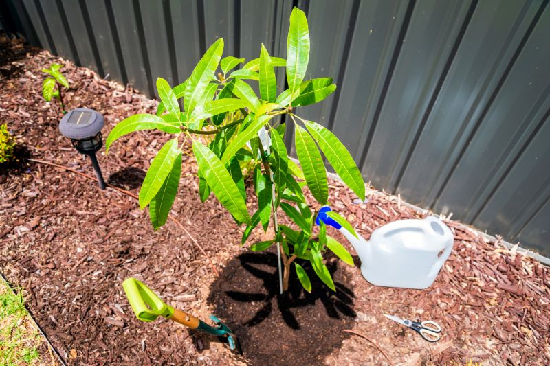 Apartment Mulching