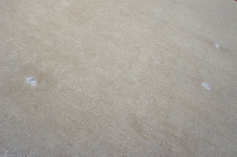 Bare Spot Repair