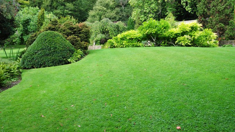 Bush Landscaping