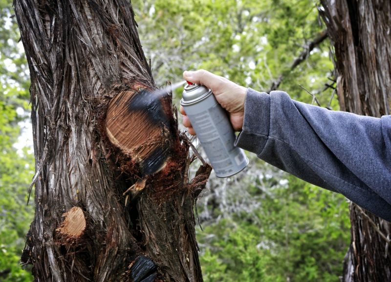 Cedar Bark Delivery