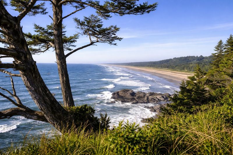 Coastal Landscaping