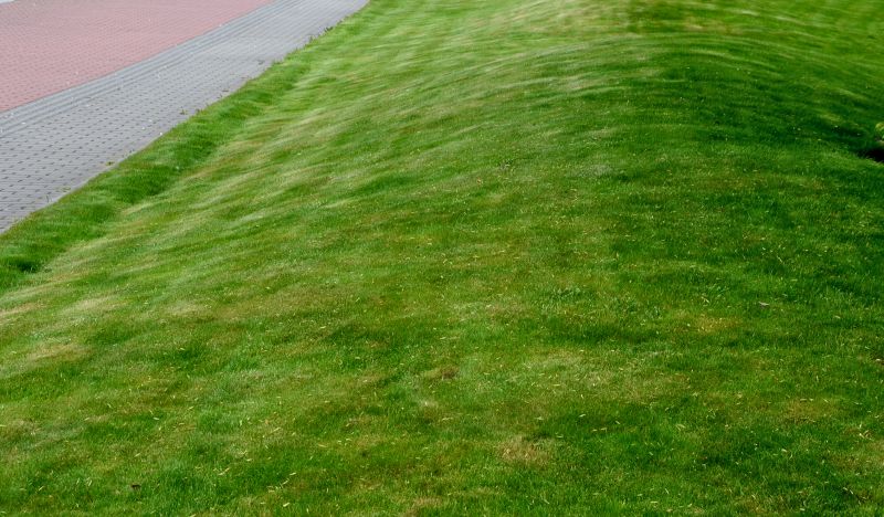 Commercial Lawn Renovation