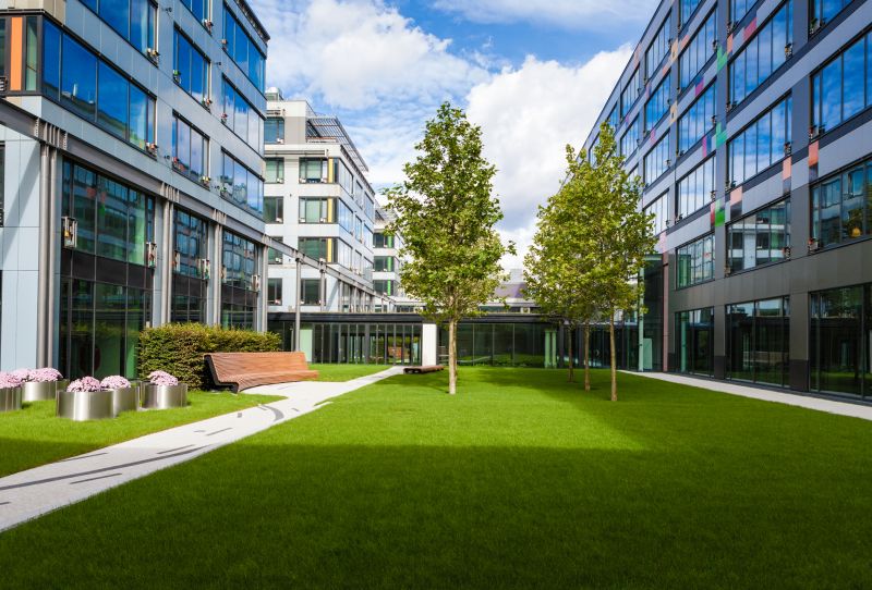 Commercial Lawn Renovation