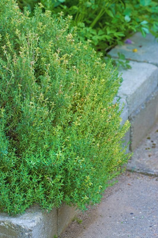 Concrete Curbing Replacement