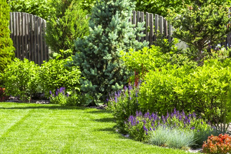Condo Mulching