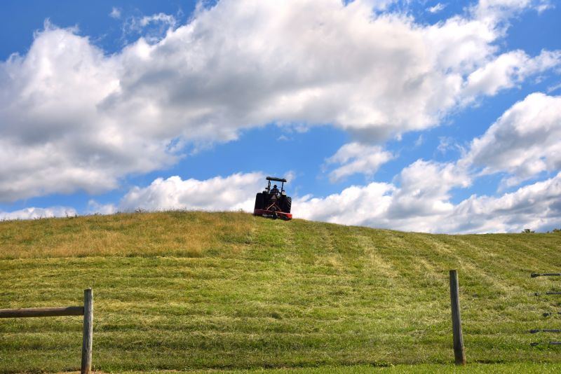 Landscaping