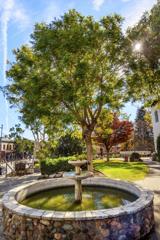 Courtyard Landscaping
