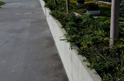 Curbing Installation