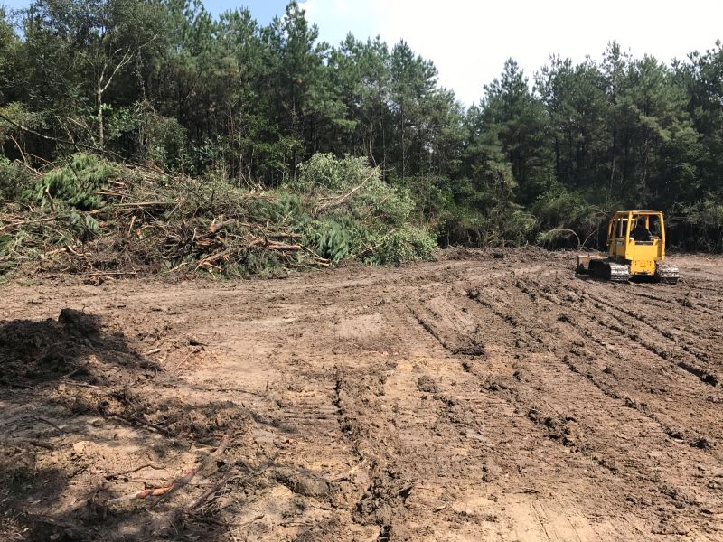 Ditch Clearing