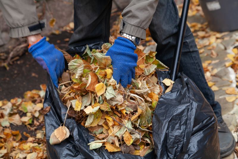 Leaves Being Disposed