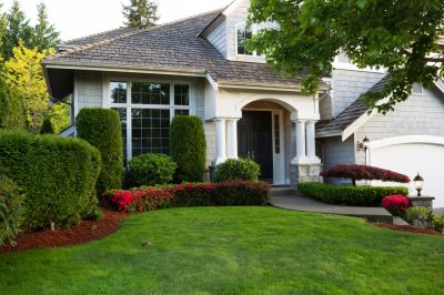 Front Yard Landscaping
