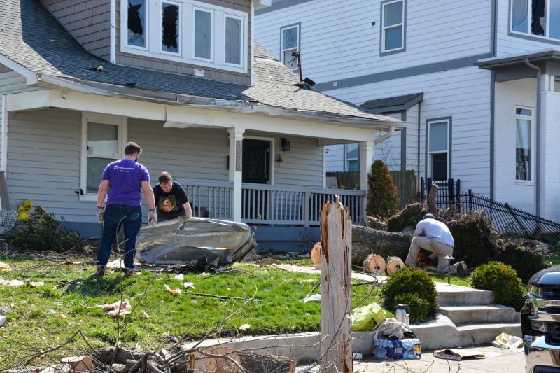Damaged Yard Repair detail