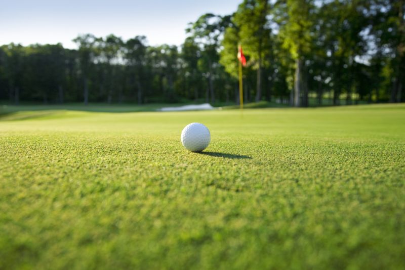 Golf Course Turf Installation detail