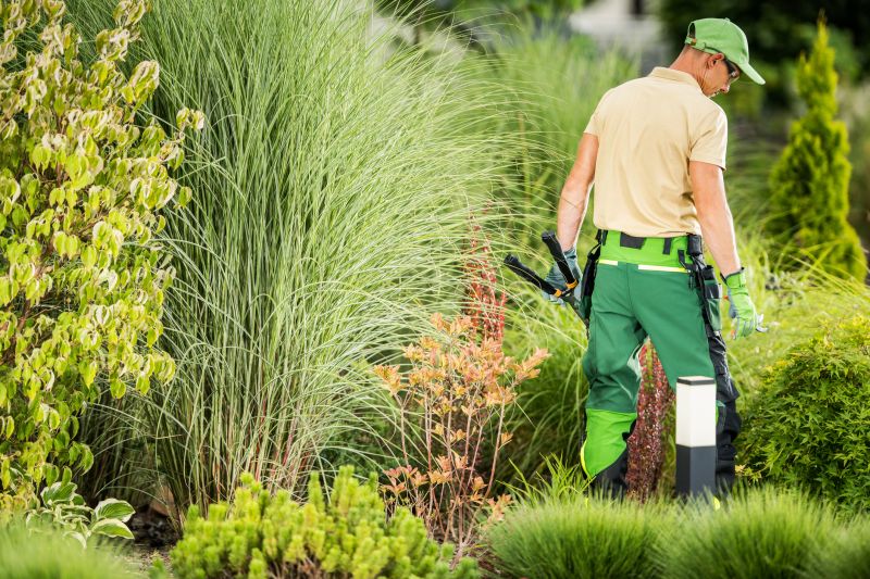 Landscape Design Service detail