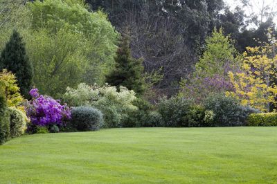 Landscaping Maintenance detail