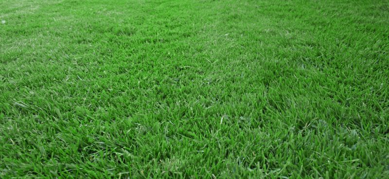 Lawn Landscaping detail