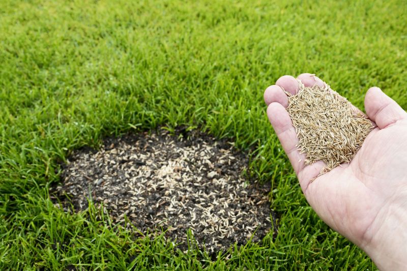 Lawn Repair Service detail