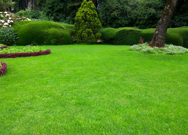 Residential Landscaping detail