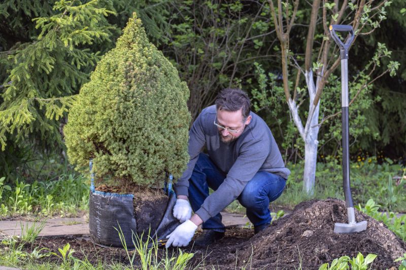 Tree Planting Service detail