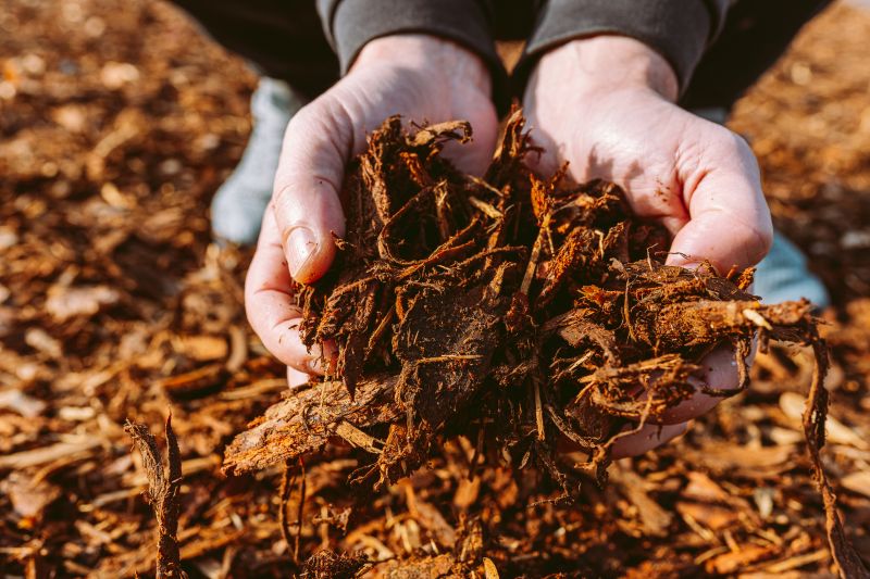 Wood Chips Delivery detail