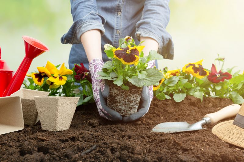 Garden Digging