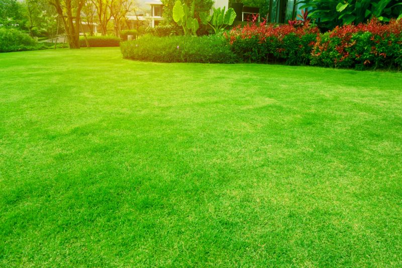 Garden Maintenance Service