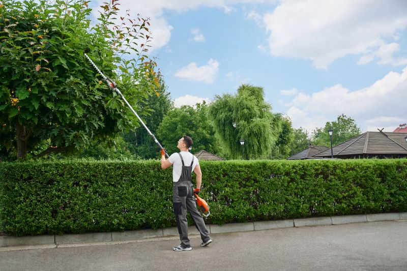 Garden Trimming Service