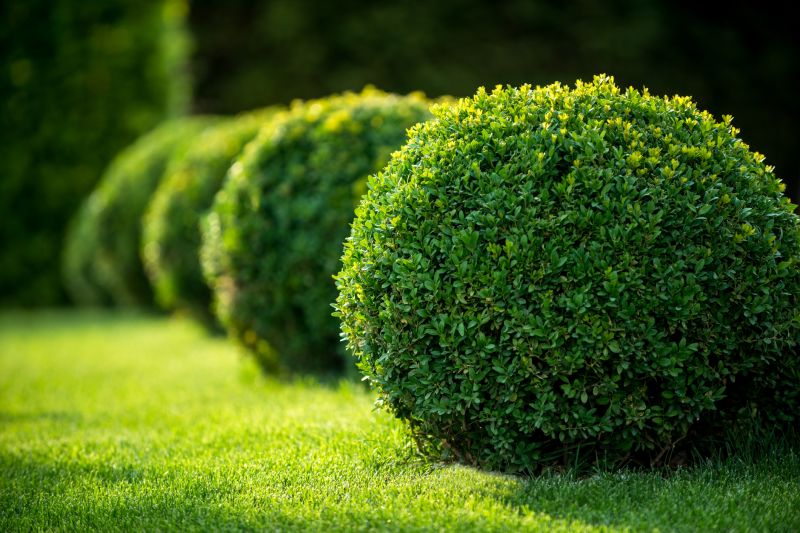 Greenery Planting