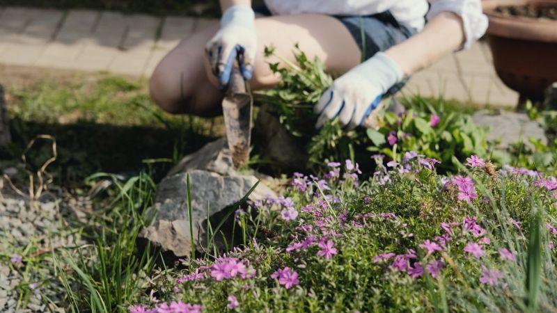Ground Cover Removal