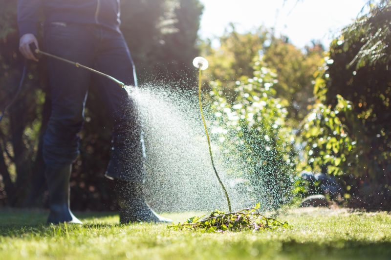 Ground Cover Removal