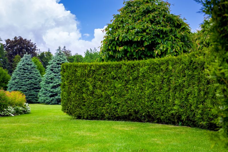 Hedge Planting