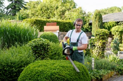 Hedge Replacement