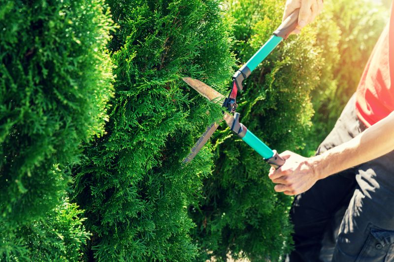 Hedge Replacement
