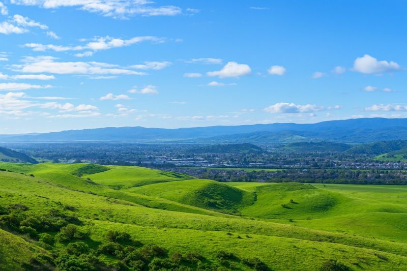 Hill Landscaping