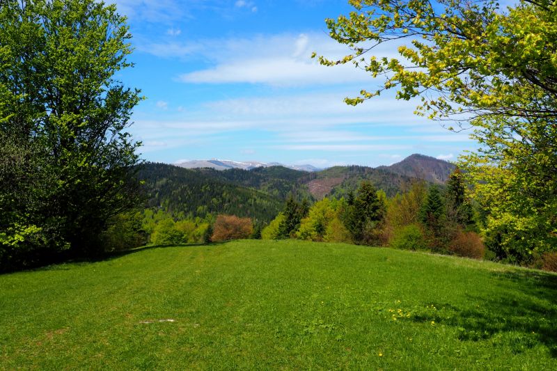 Hill Landscaping