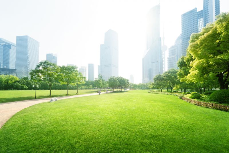 Landscape Architecture Service