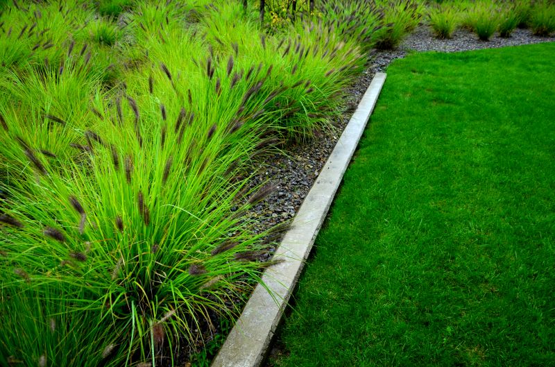 Landscaping Curb Installation