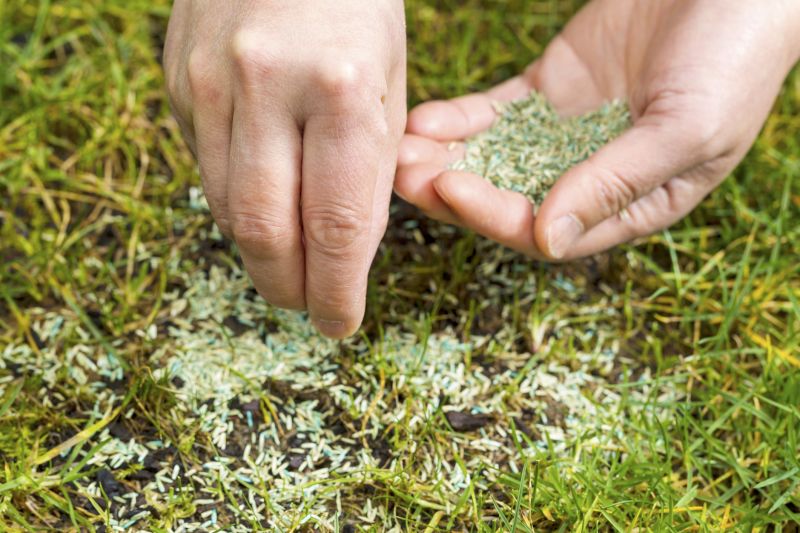 Lawn And Garden Installation