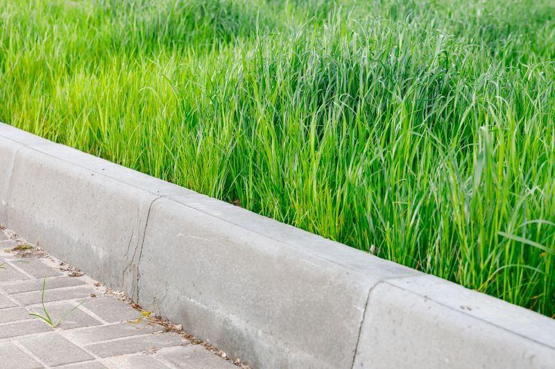 Lawn Curbing Service