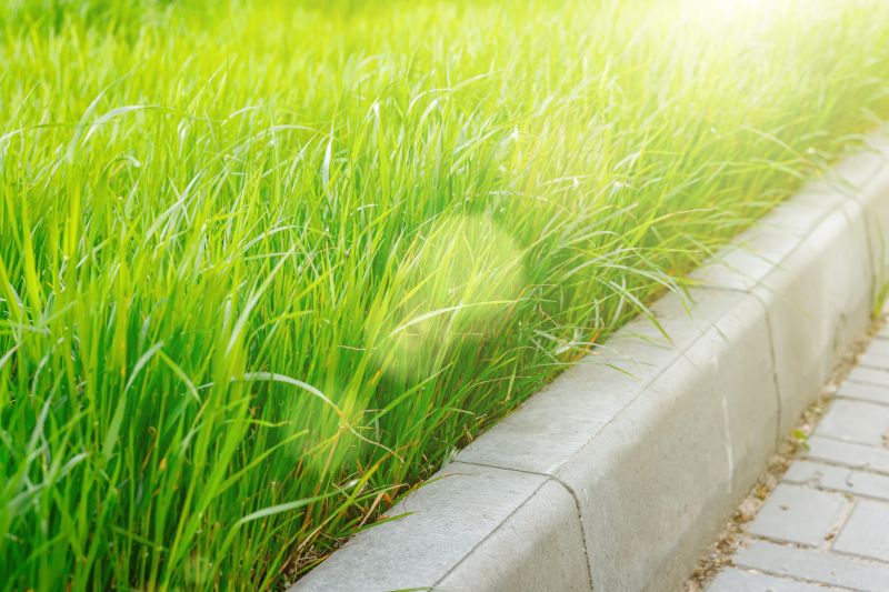 Lawn Edging Service