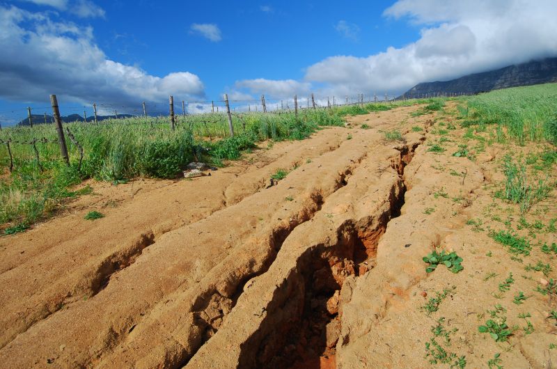 Lawn Erosion Control