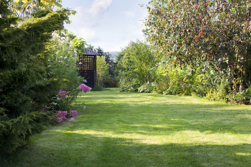 Lawn Erosion Repair