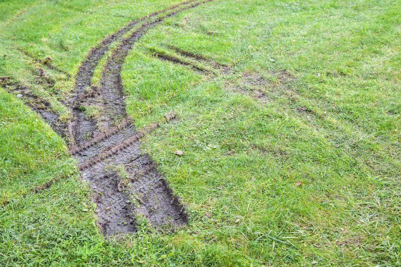 Lawn Erosion Repair