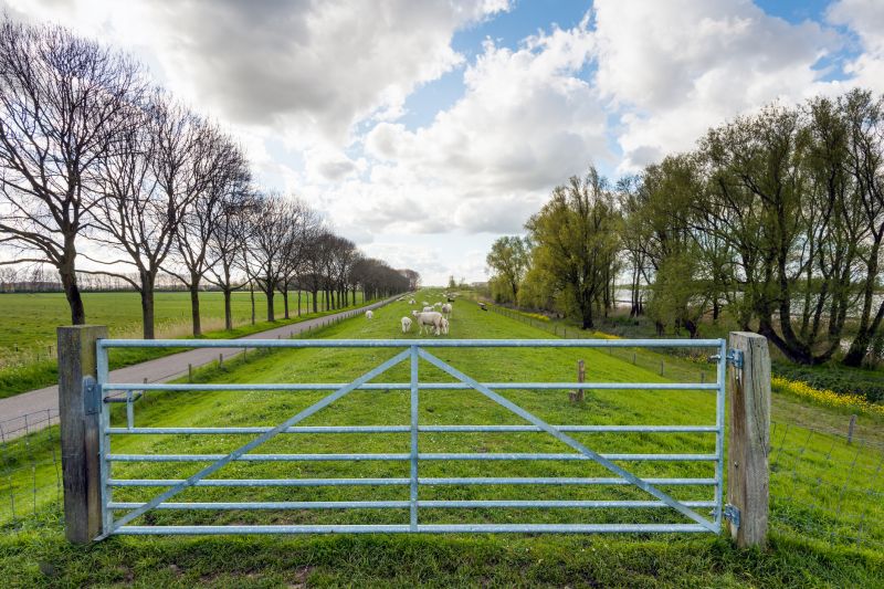 Metal Border Installation