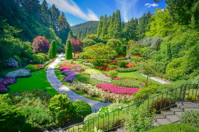 Modern Landscaping