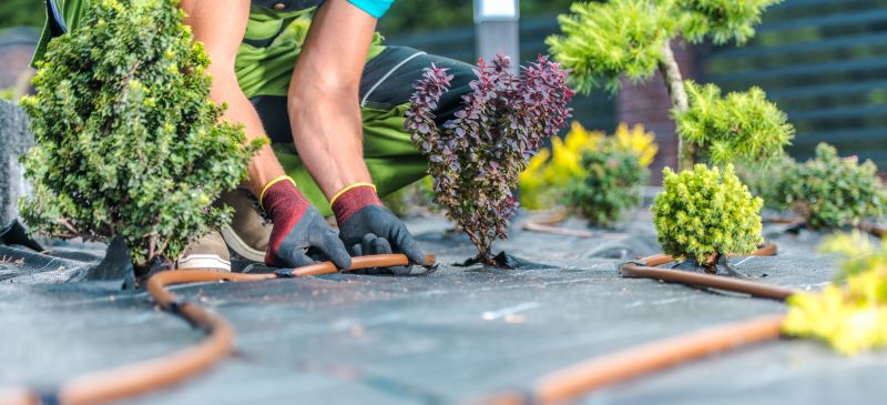 Mulch Installation