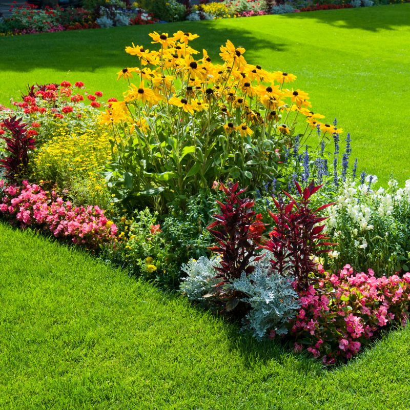Mulch Installation