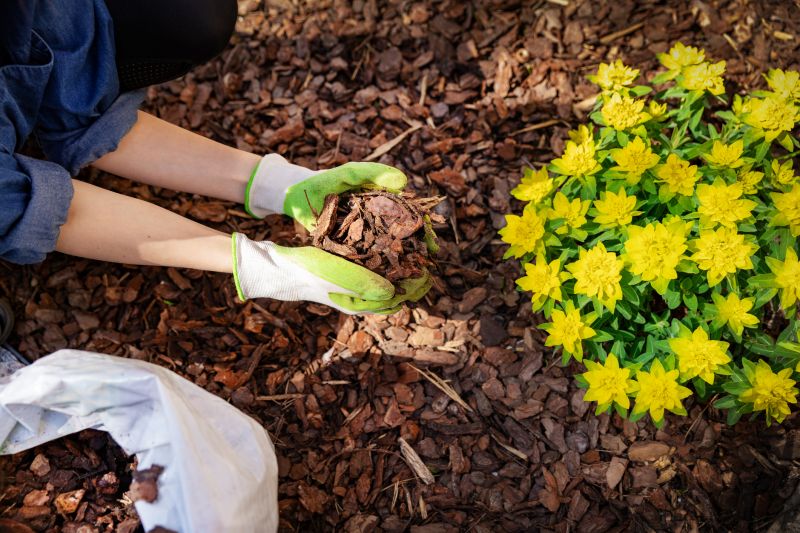 Mulch Landscaping