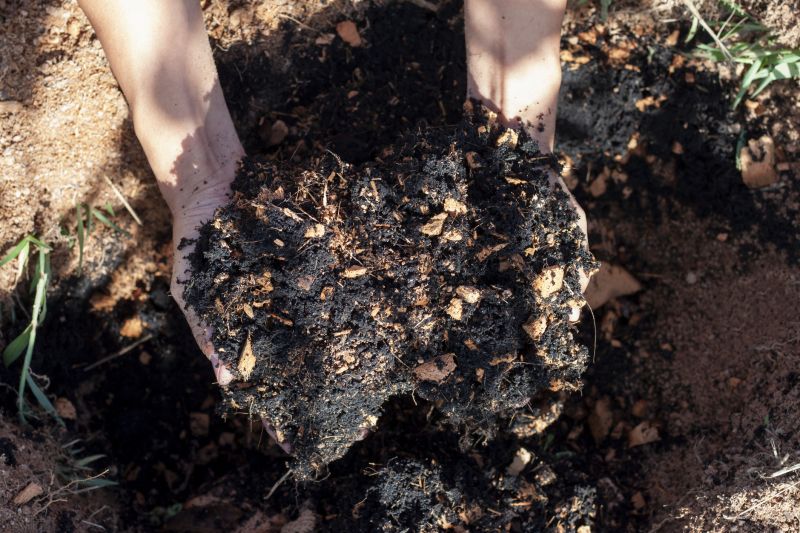Organic Mulch Delivery