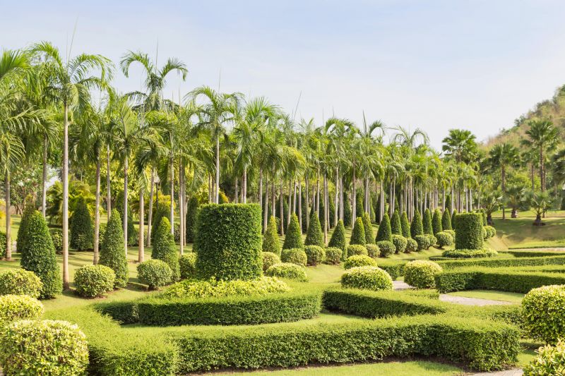 Palm Tree Landscaping